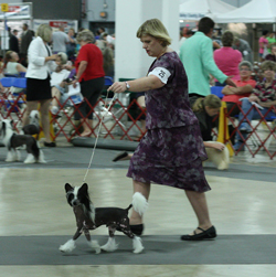 2011_07_29_Greenville_91S.jpg