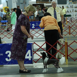 2011_07_29_Greenville_182S.jpg