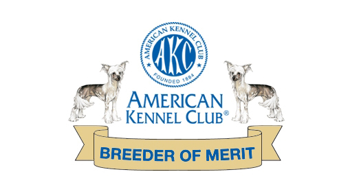 Breeder Of Merit Banner