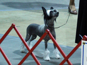 2011_02_19_Greenville_199.JPG