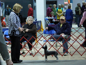 2011_02_19_Greenville_355.JPG