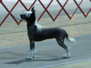 2011_02_20_Greenville_349.JPG