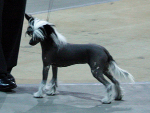 2011-02-GCK-003.jpg