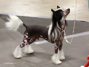 2011_07_31_Ensley01S.jpg