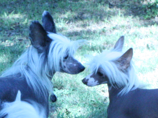 2010-10-02_FunDay_029.JPG