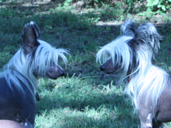 2010-10-02_FunDay_062.JPG