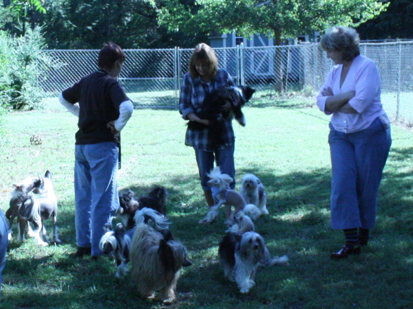 2010-10-02_FunDay_076.JPG