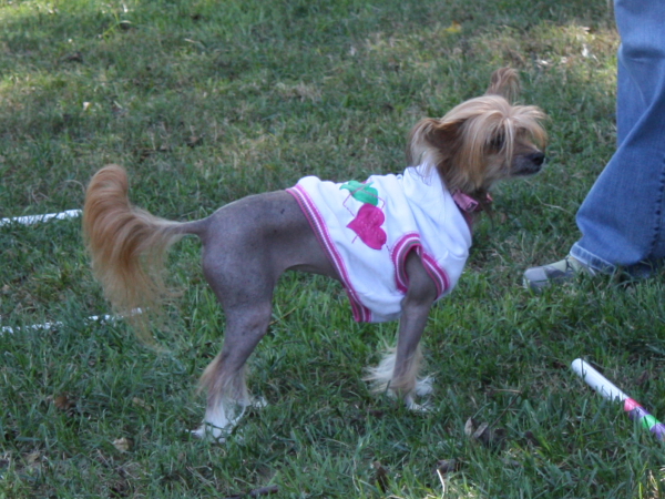 2010-10-02_FunDay_101.JPG
