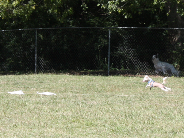 2010-10-02_FunDay_172.JPG