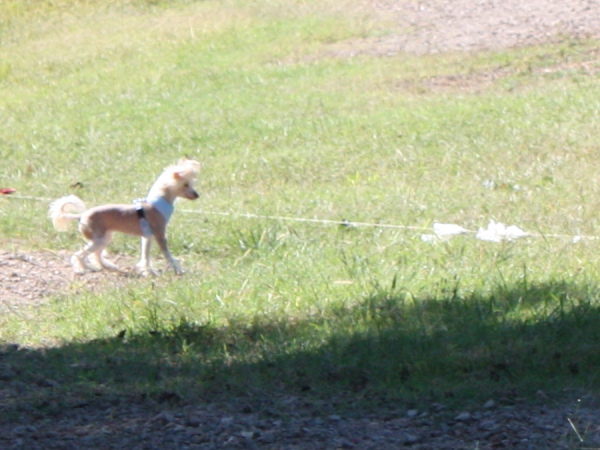 2010-10-02_FunDay_179.JPG