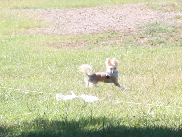 2010-10-02_FunDay_184.JPG
