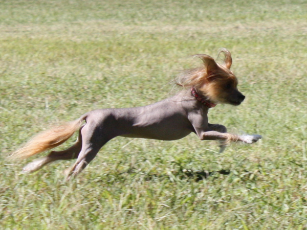 2010-10-02_FunDay_196.JPG