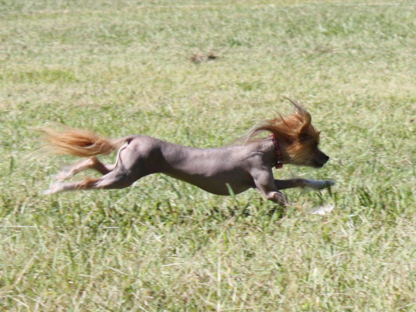 2010-10-02_FunDay_197.JPG