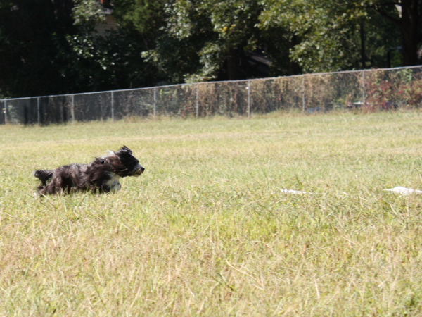 2010-10-02_FunDay_207.JPG