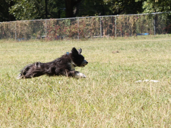2010-10-02_FunDay_208.JPG