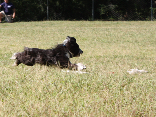 2010-10-02_FunDay_209.JPG