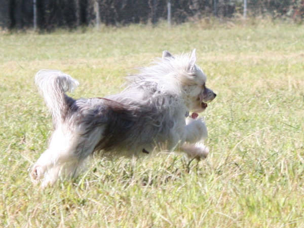 2010-10-02_FunDay_215.JPG