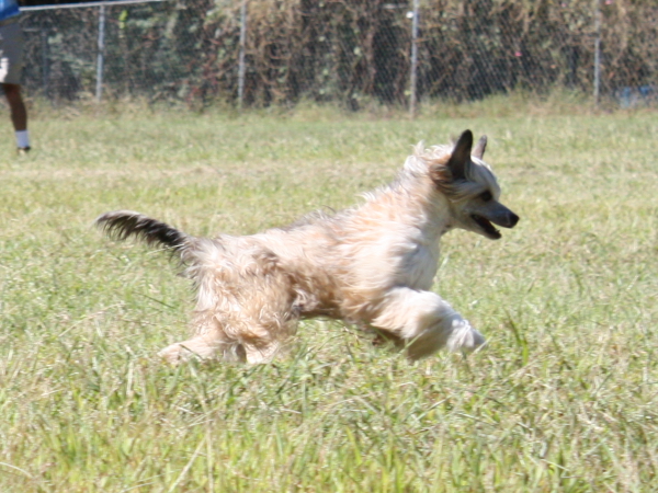 2010-10-02_FunDay_223.JPG