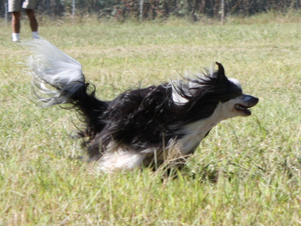 2010-10-02_FunDay_224.JPG