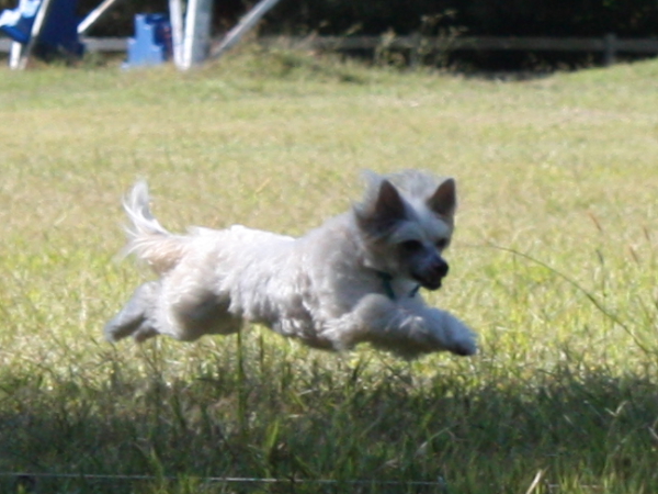2010-10-02_FunDay_249.JPG