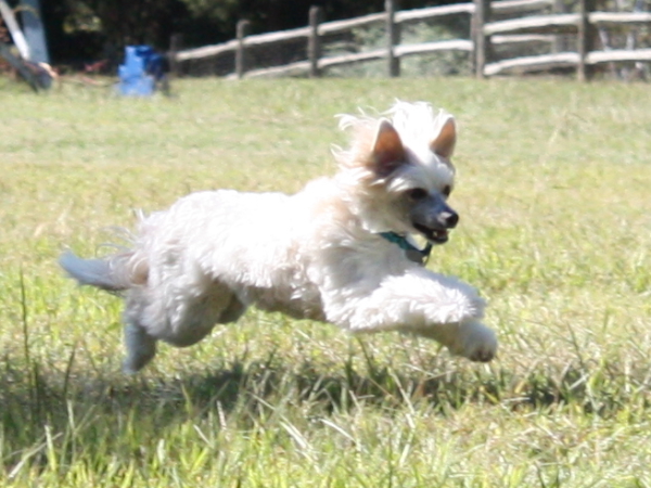 2010-10-02_FunDay_250.JPG