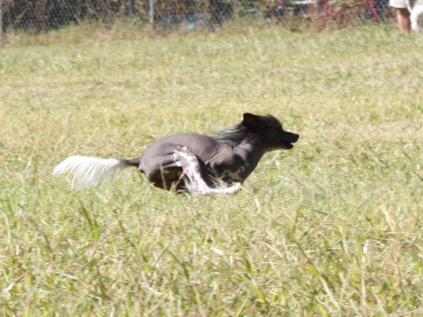 2010-10-02_FunDay_265.JPG