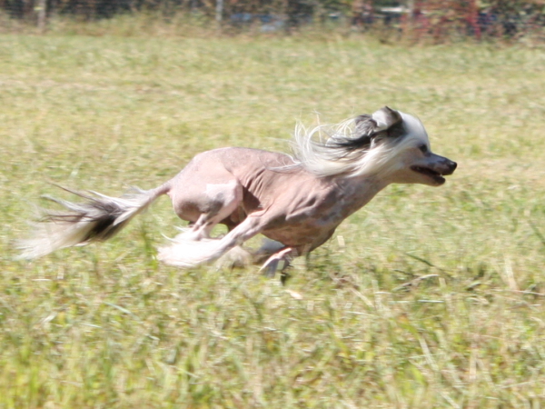 2010-10-02_FunDay_289.JPG