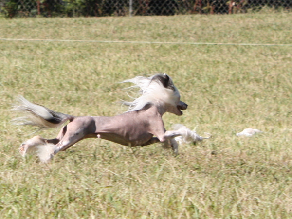 2010-10-02_FunDay_300.JPG