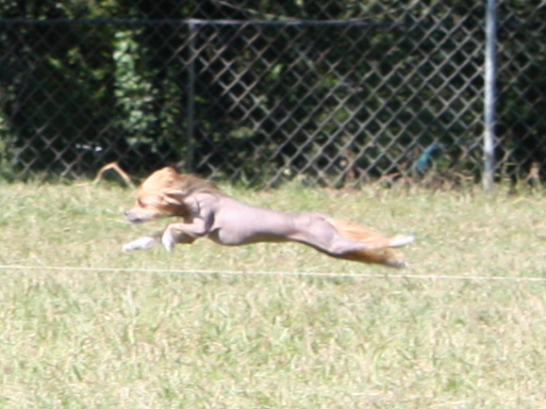 2010-10-02_FunDay_304.JPG