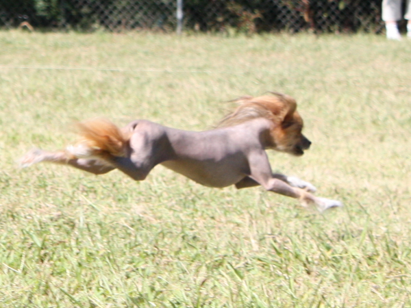 2010-10-02_FunDay_315.JPG