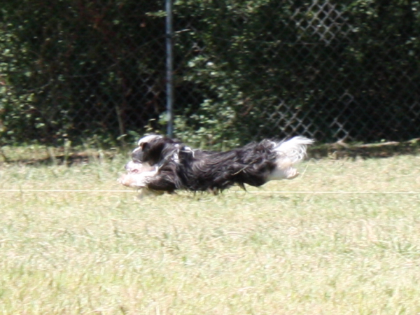 2010-10-02_FunDay_316.JPG