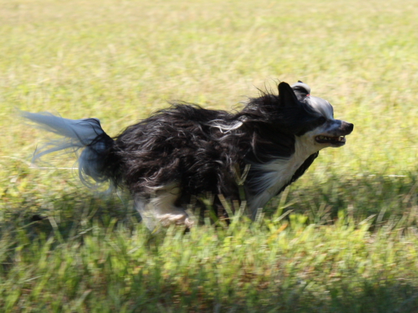 2010-10-02_FunDay_321.JPG