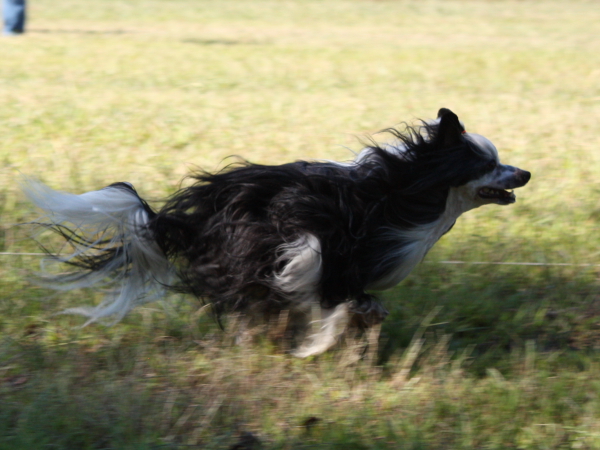 2010-10-02_FunDay_322.JPG