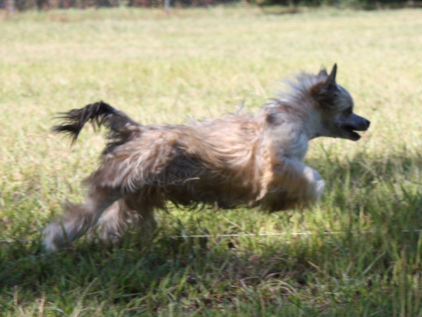 2010-10-02_FunDay_323.JPG