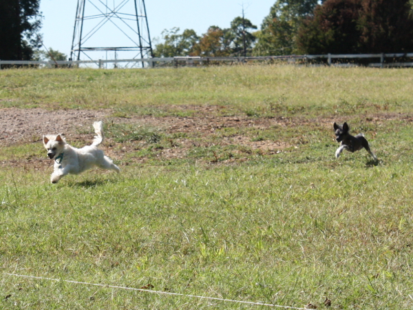 2010-10-02_FunDay_331.JPG