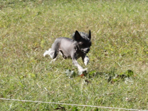 2010-10-02_FunDay_335.JPG