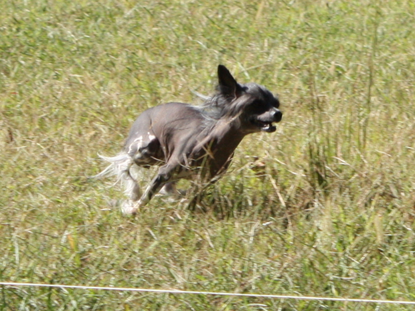 2010-10-02_FunDay_336.JPG