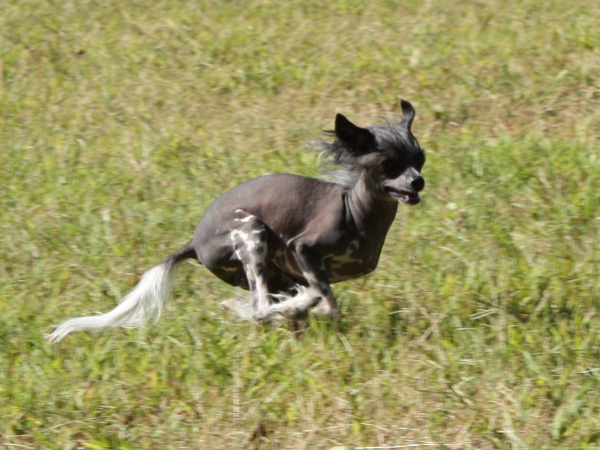 2010-10-02_FunDay_337.JPG