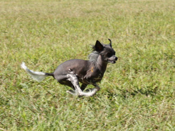 2010-10-02_FunDay_338.JPG