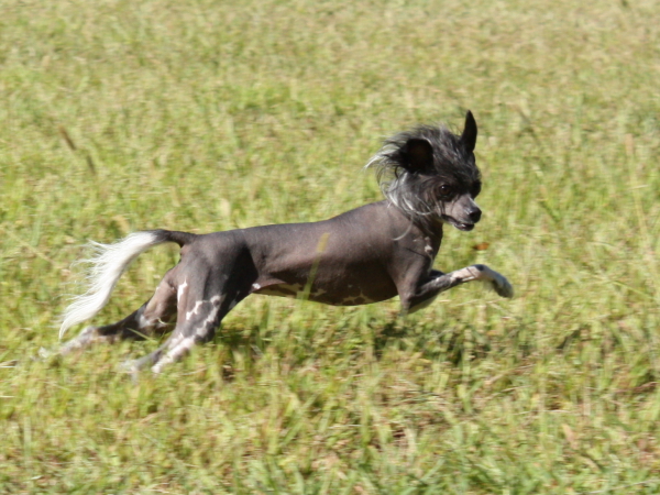 2010-10-02_FunDay_339.JPG