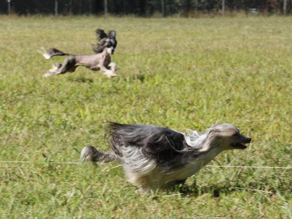 2010-10-02_FunDay_360.JPG