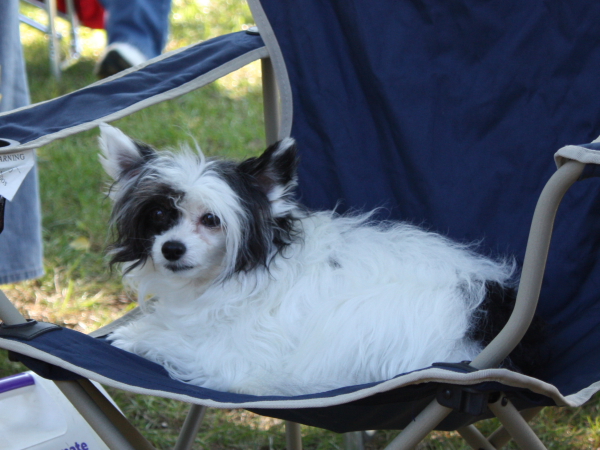 2010-10-02_FunDay_373.JPG