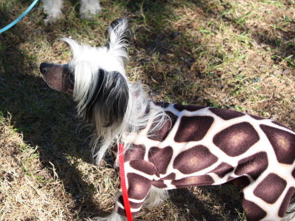 2010-10-02_FunDay_467.JPG