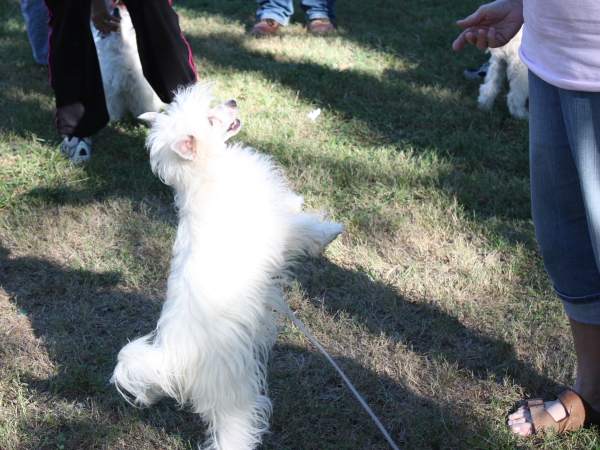 2010-10-02_FunDay_470.JPG