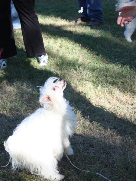 2010-10-02_FunDay_471.JPG