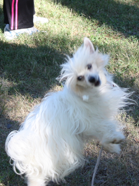 2010-10-02_FunDay_473.JPG