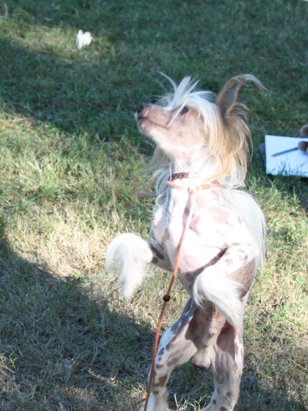 2010-10-02_FunDay_480.JPG