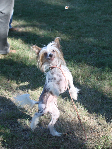 2010-10-02_FunDay_482.JPG