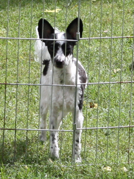 2011_10_01_FunDay_010.JPG