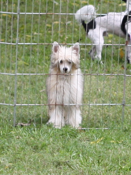 2011_10_01_FunDay_024.JPG
